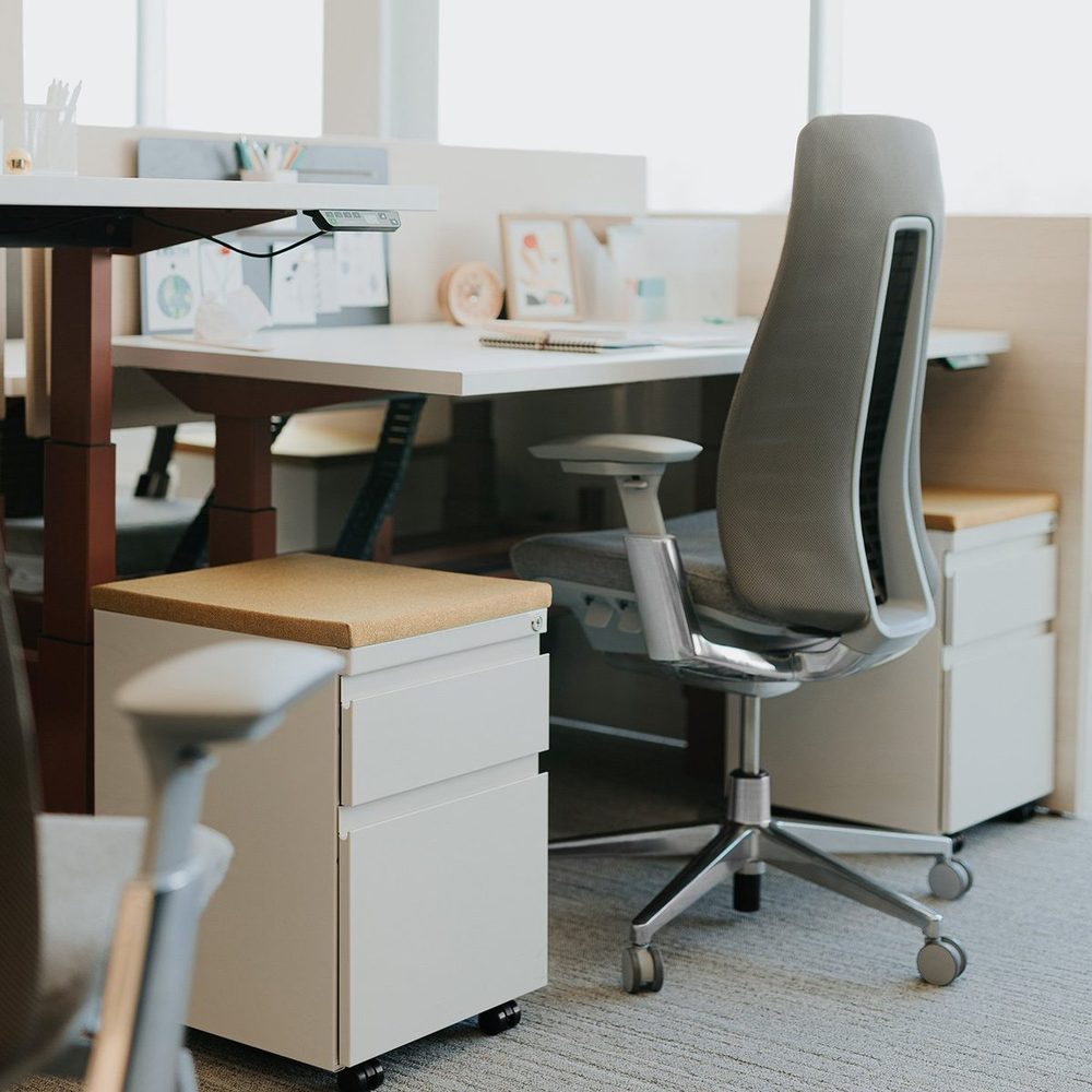 Haworth Fern task chair in a private office setting