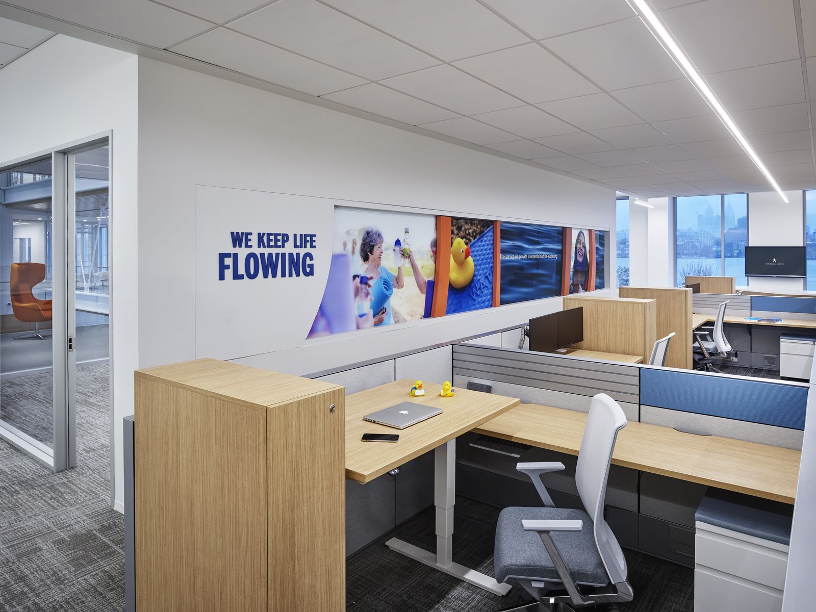 Workstation cluster with dividing screens in a daylit office